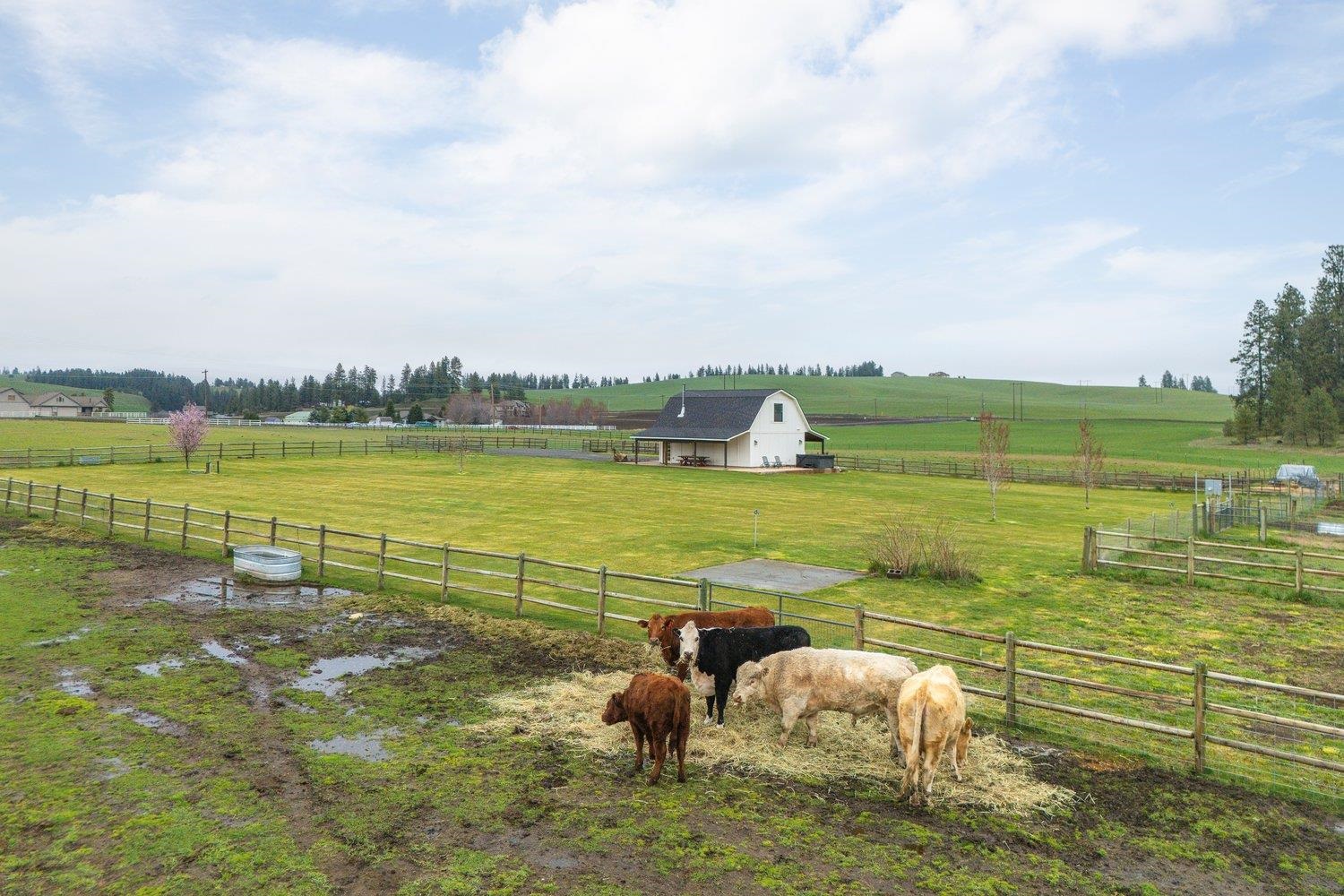 10201 West Jensen Road Cheney, WA 99004 - Photo 17 of 50