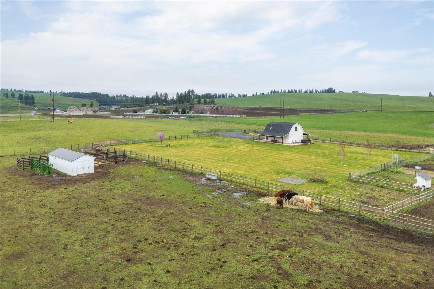 10201 West Jensen Road Cheney, WA 99004 - Photo 21 of 50