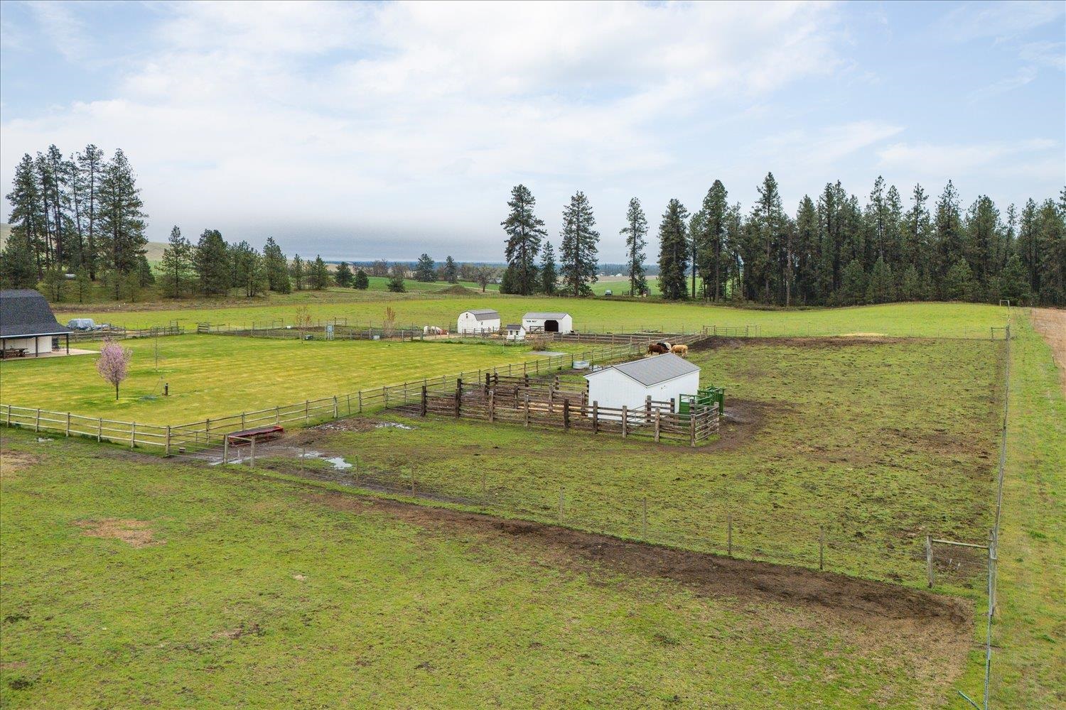 10201 West Jensen Road Cheney, WA 99004 - Photo 22 of 50