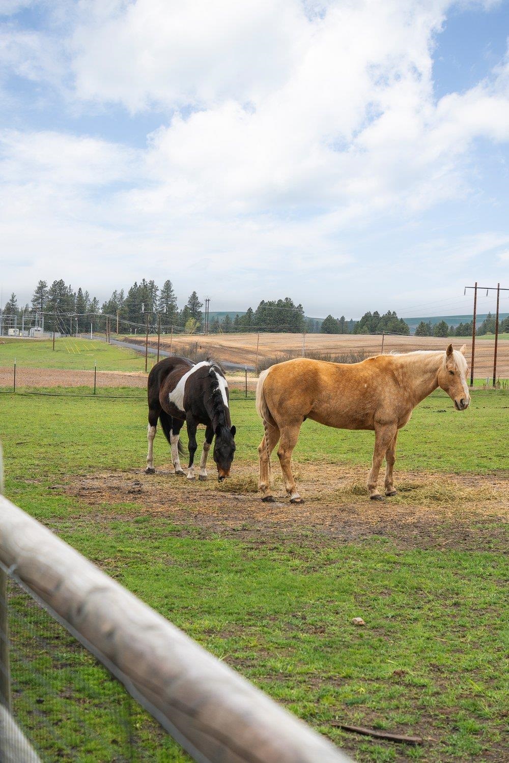 10201 West Jensen Road Cheney, WA 99004 - Photo 29 of 50