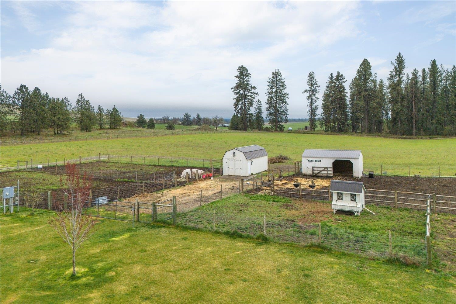 10201 West Jensen Road Cheney, WA 99004 - Photo 10 of 50