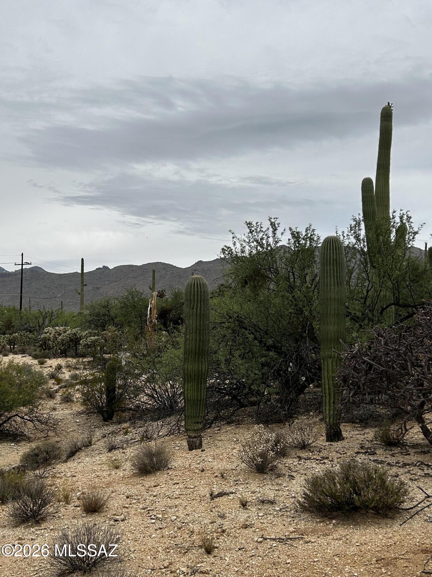 East Roger Road, Unit 46 Tucson, AZ 85749 - Photo 23 of 38