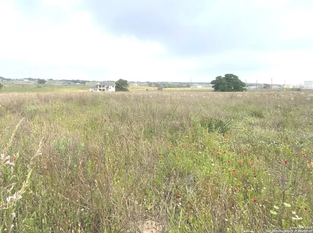 a view of lake and mountain