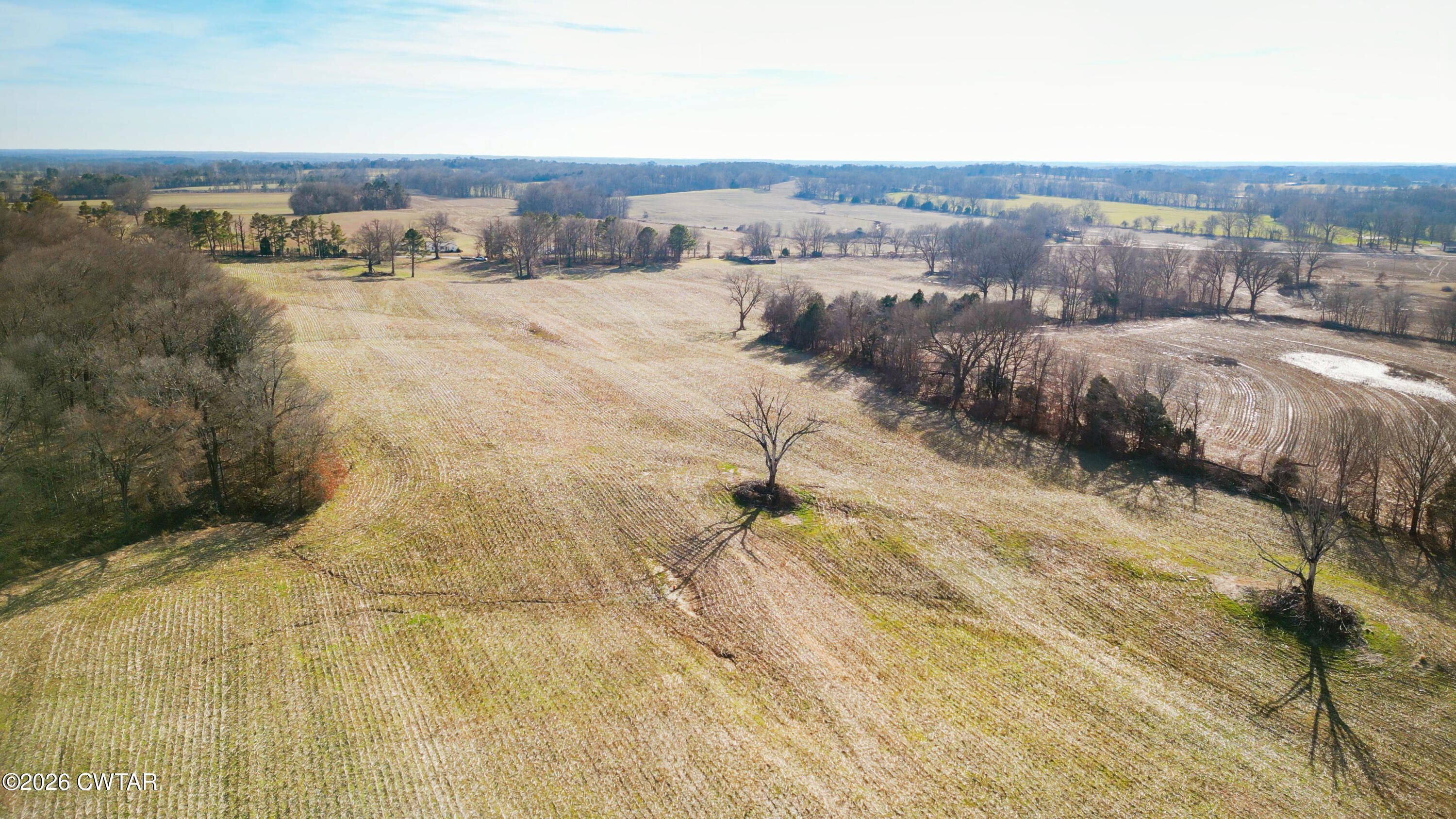180 Brazil Fruitland Road Humboldt, TN 38343 - Photo 14 of 26 a view of a dry yard with mountains in the background