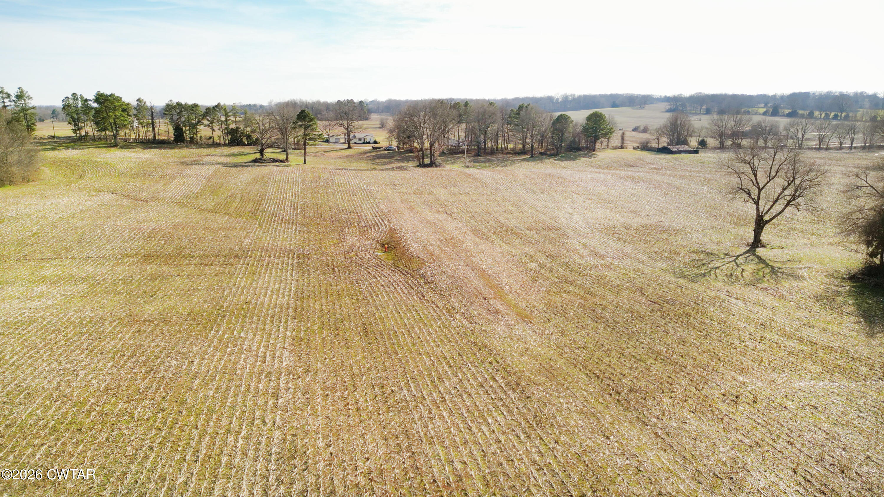 180 Brazil Fruitland Road Humboldt, TN 38343 - Photo 15 of 26 a view of a lake