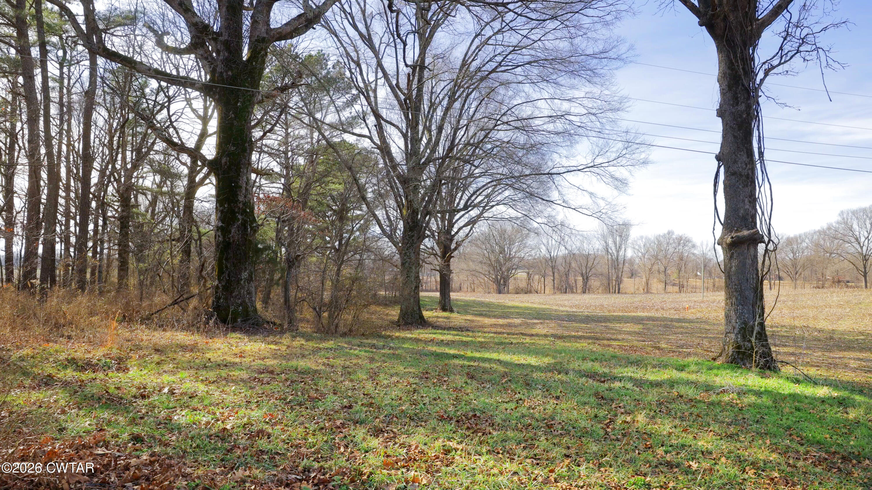 180 Brazil Fruitland Road Humboldt, TN 38343 - Photo 16 of 26 a view of outdoor space with deck and tree