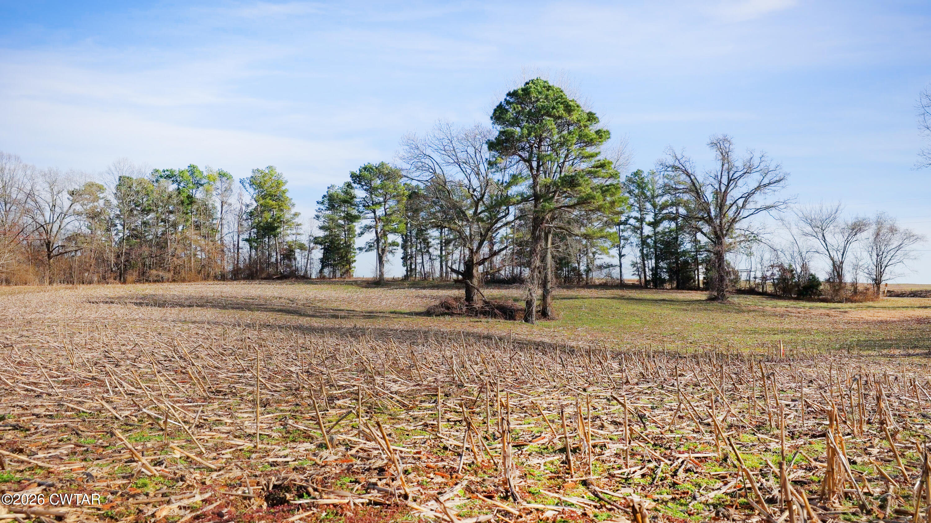 180 Brazil Fruitland Road Humboldt, TN 38343 - Photo 17 of 26 a view of a yard with large trees