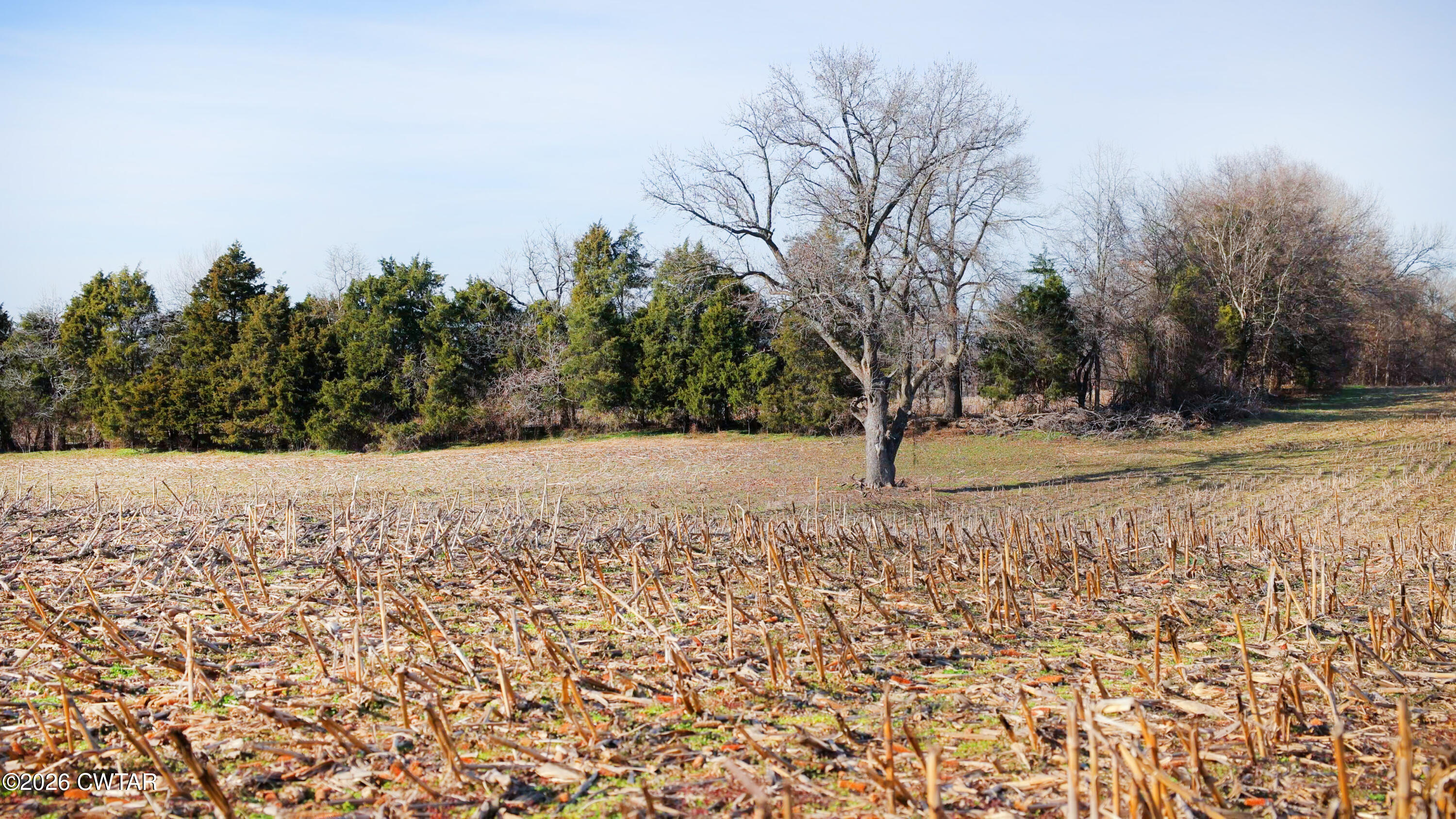 180 Brazil Fruitland Road Humboldt, TN 38343 - Photo 18 of 26 a view of yard covered with snow