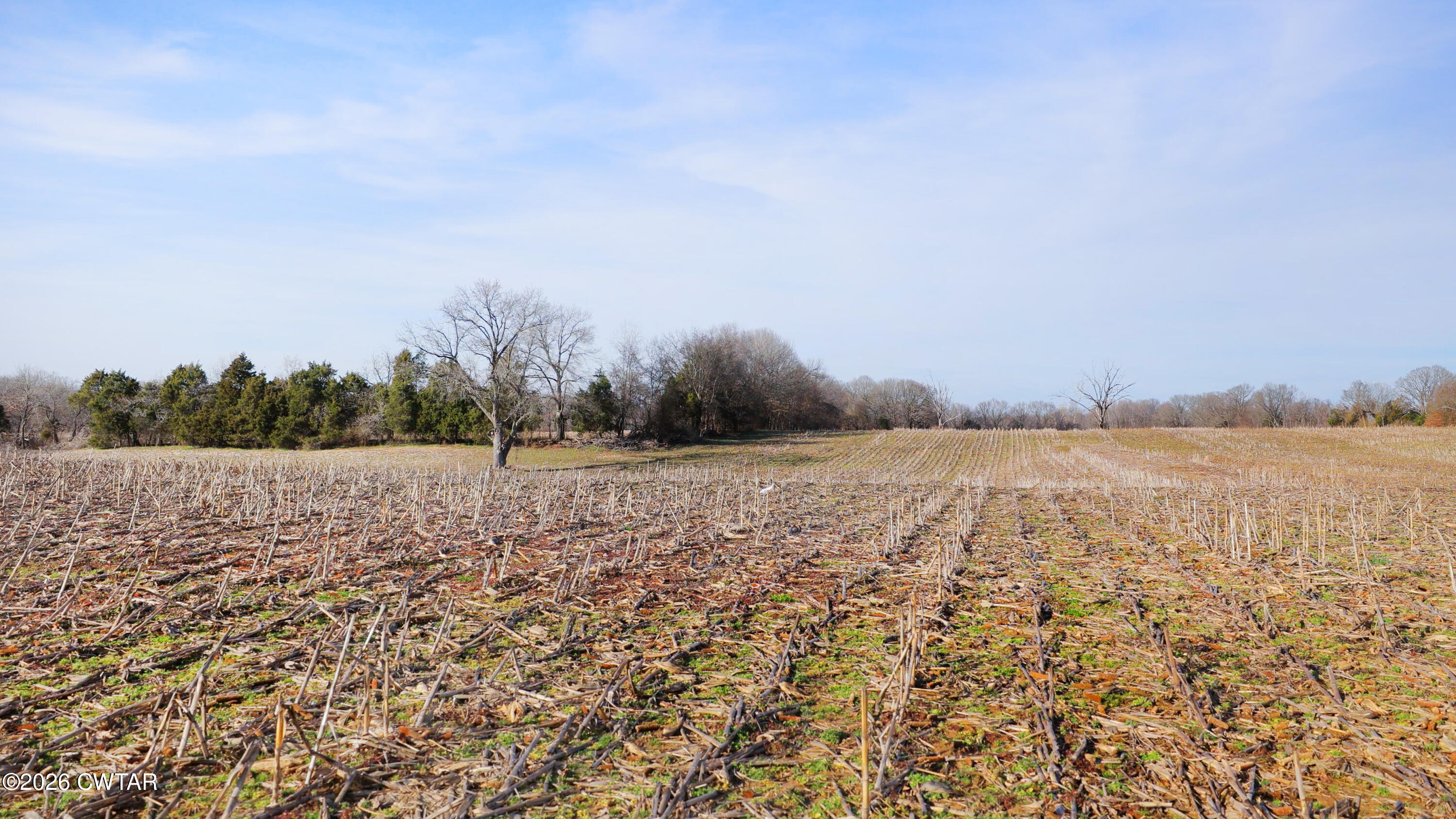 180 Brazil Fruitland Road Humboldt, TN 38343 - Photo 19 of 26 a view of lake and mountain