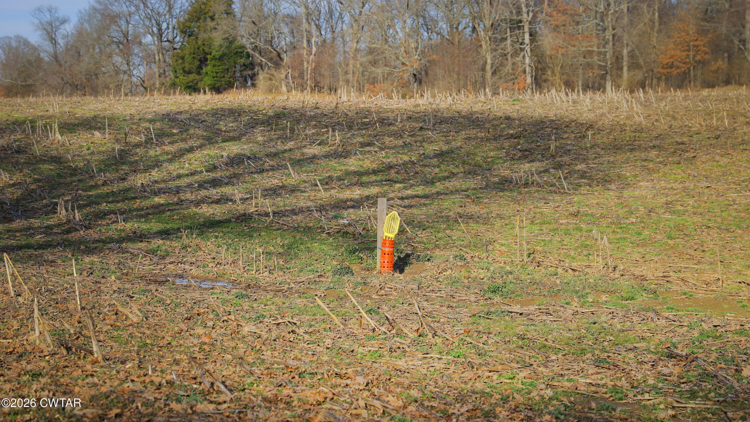 180 Brazil Fruitland Road Humboldt, TN 38343 - Photo 20 of 26 a view of a road with a yard
