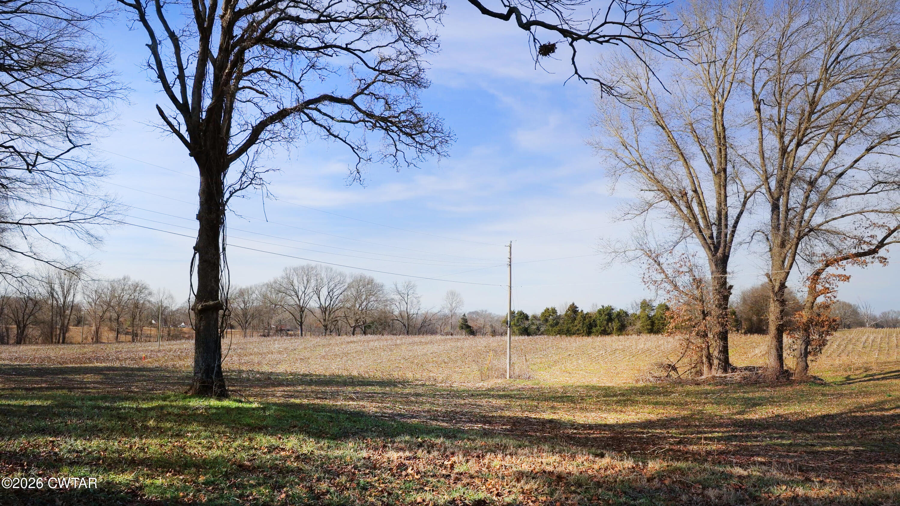 180 Brazil Fruitland Road Humboldt, TN 38343 - Photo 2 of 26 a view of a tree next to a yard