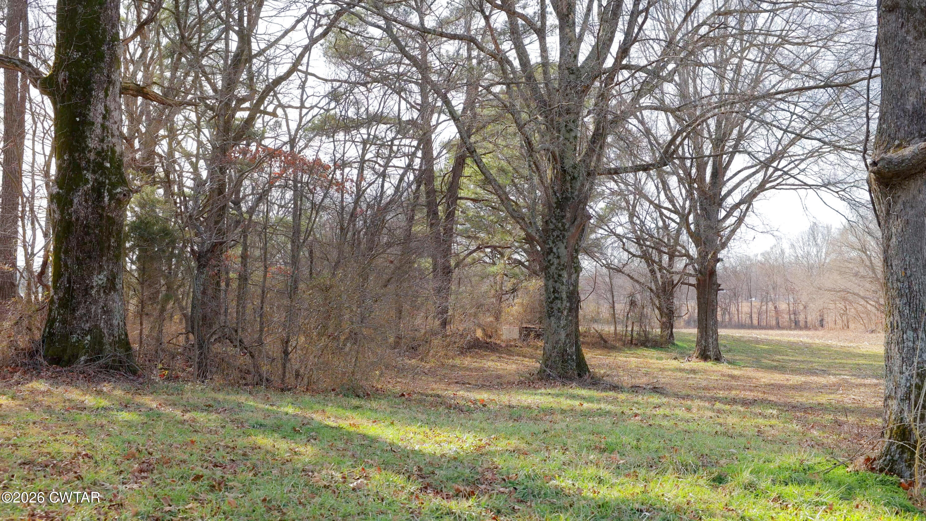 180 Brazil Fruitland Road Humboldt, TN 38343 - Photo 21 of 26 a view of outdoor space with deck