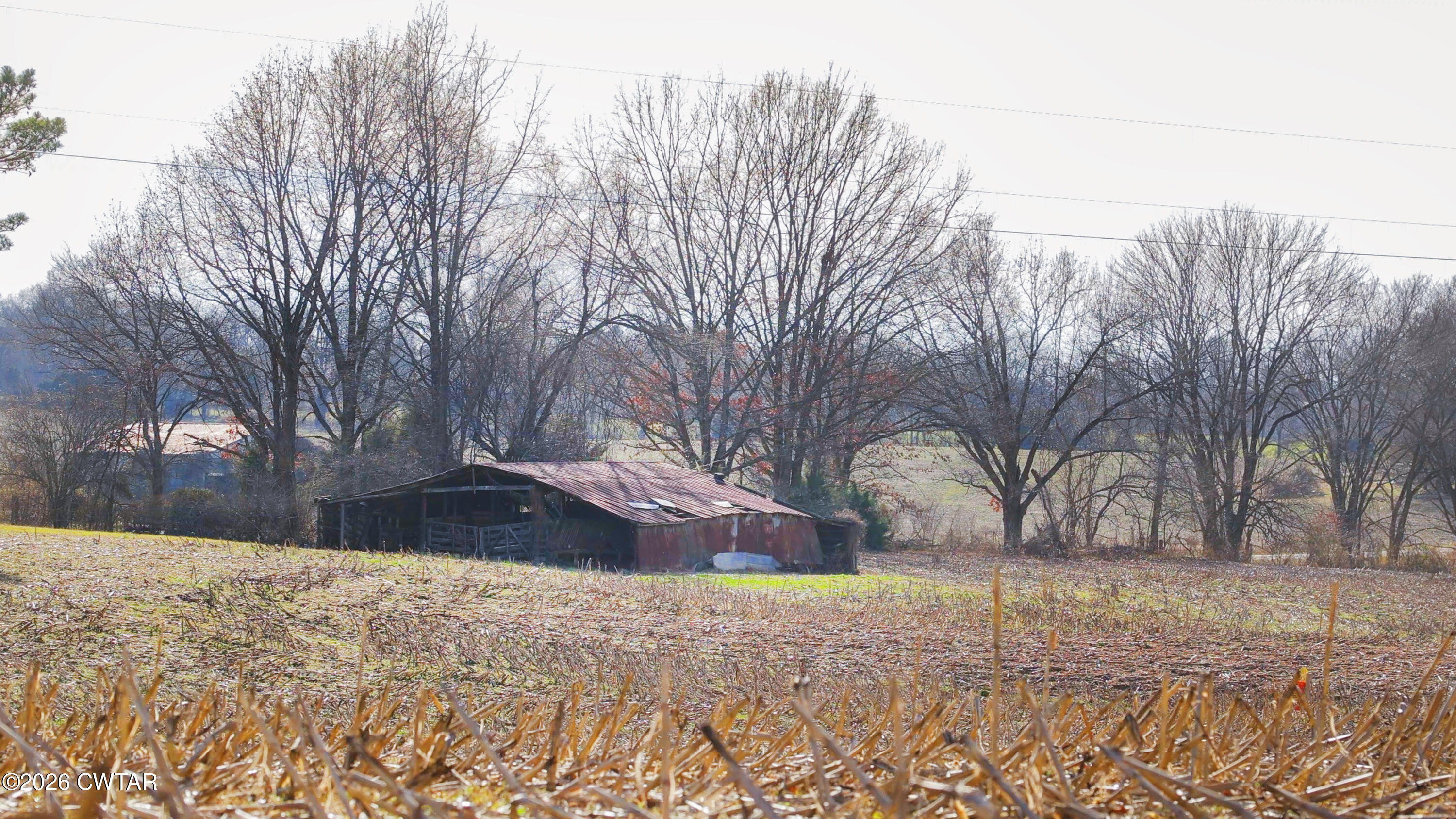 180 Brazil Fruitland Road Humboldt, TN 38343 - Photo 22 of 26 a view of yard covered with snow in front of house