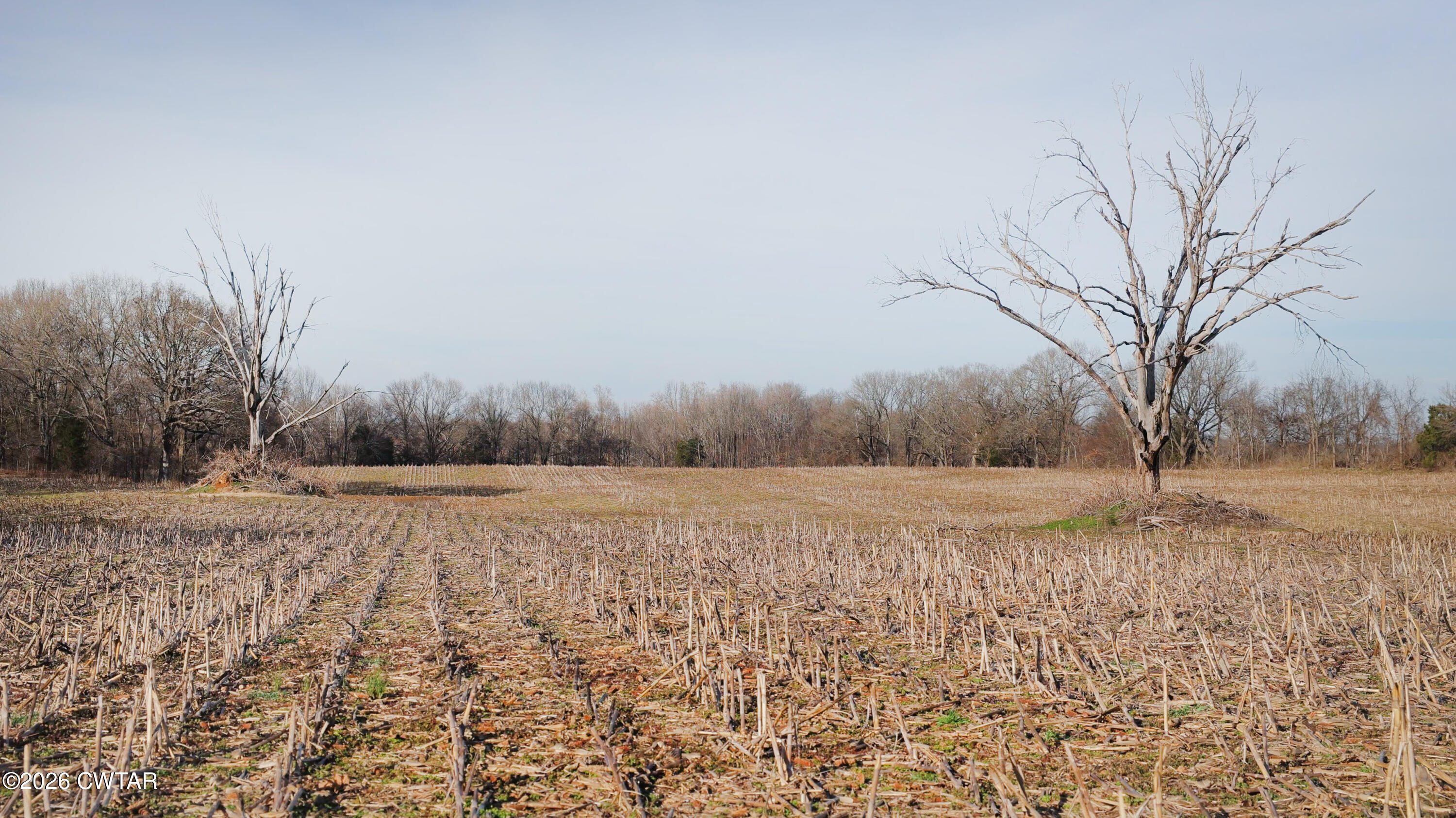 180 Brazil Fruitland Road Humboldt, TN 38343 - Photo 25 of 26 a big yard with wooden fence