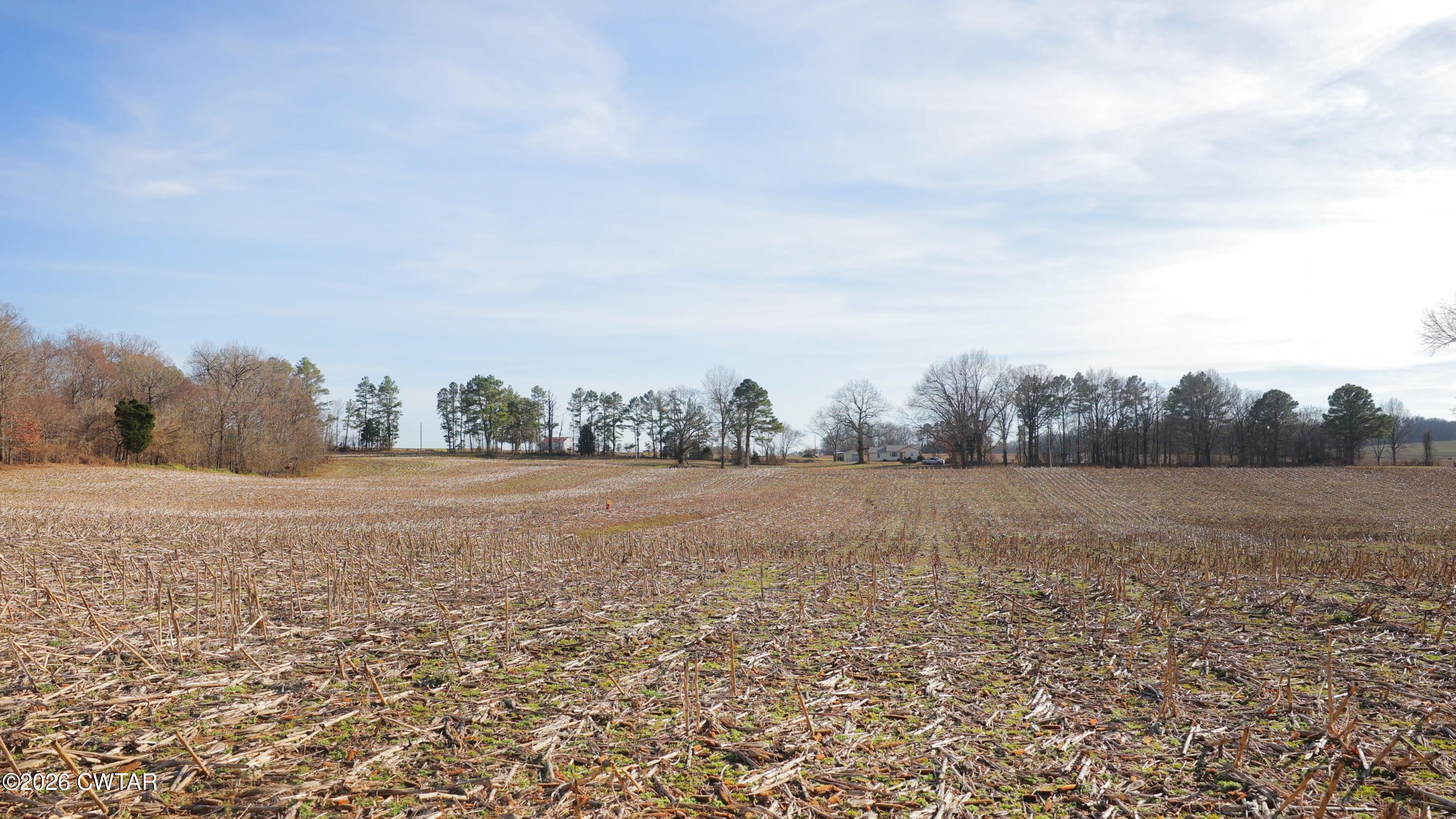 180 Brazil Fruitland Road Humboldt, TN 38343 - Photo 26 of 26 a view of an outdoor space and trees