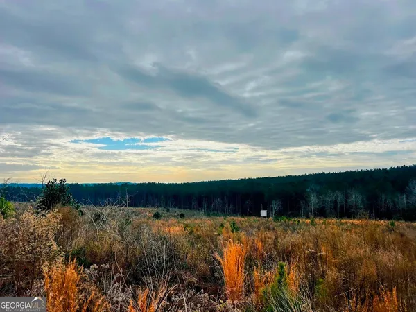 $664,000 | 0 County Road 309, Unit TRACT A, Skipperville, AL 36374