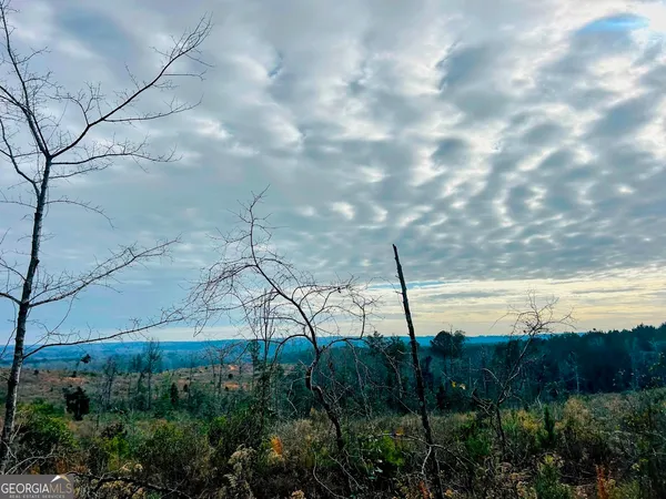 $664,000 | 0 County Road 309, Unit TRACT A, Skipperville, AL 36374