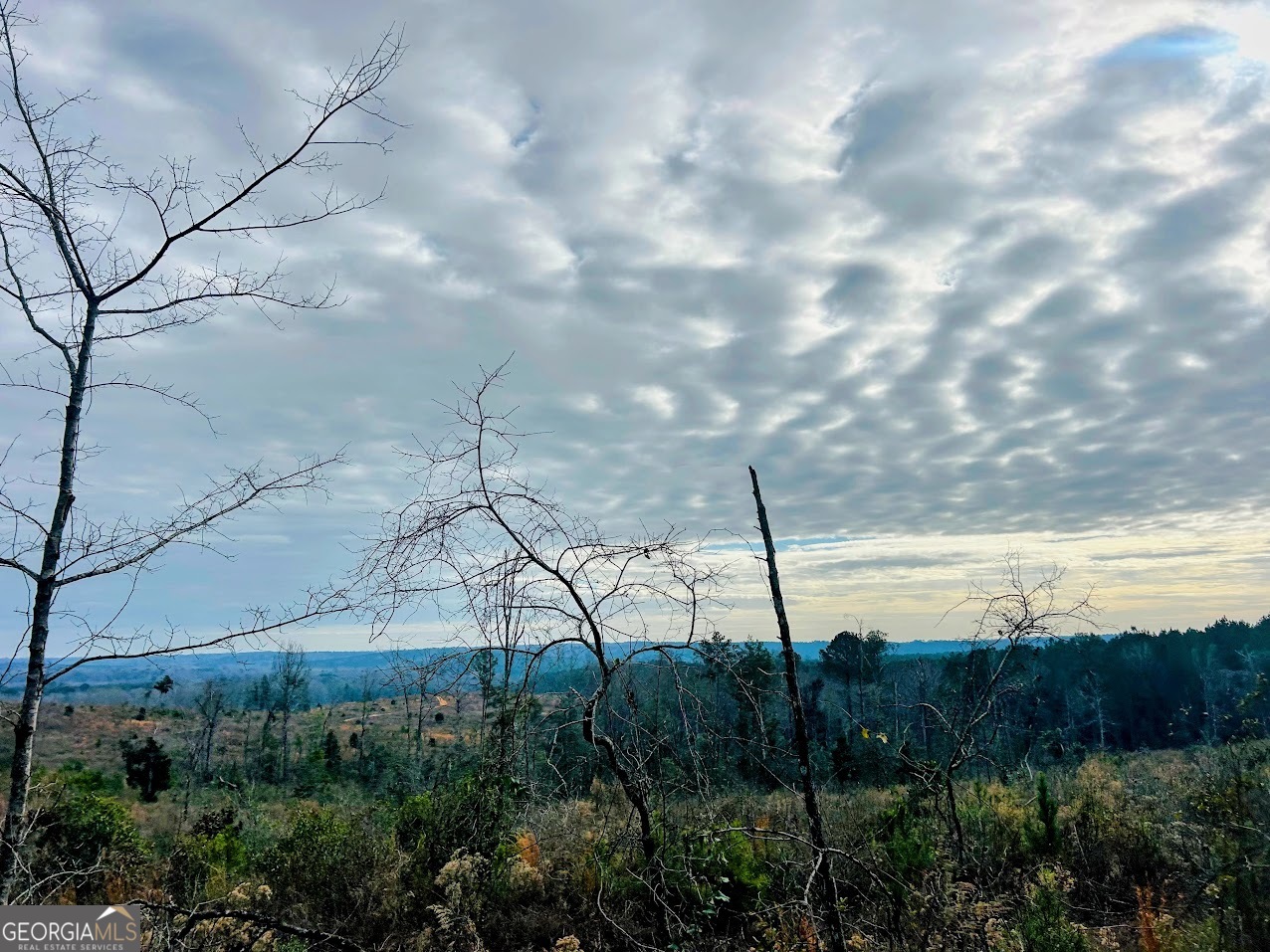 0 County Road 309, Unit TRACT A Skipperville, AL 36374 - Photo 11 of 24