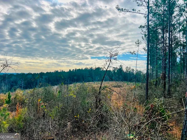 $664,000 | 0 County Road 309, Unit TRACT A, Skipperville, AL 36374