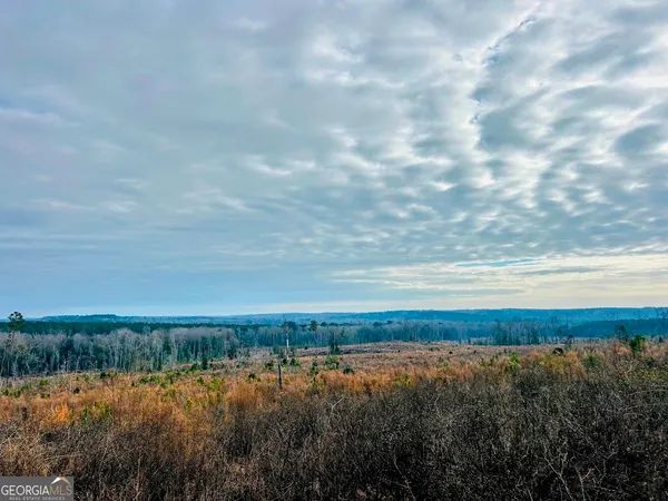 $664,000 | 0 County Road 309, Unit TRACT A, Skipperville, AL 36374