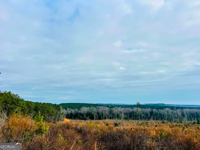 $684,000 | 0 County Road 309, Unit TRACT A, Skipperville, AL 36374