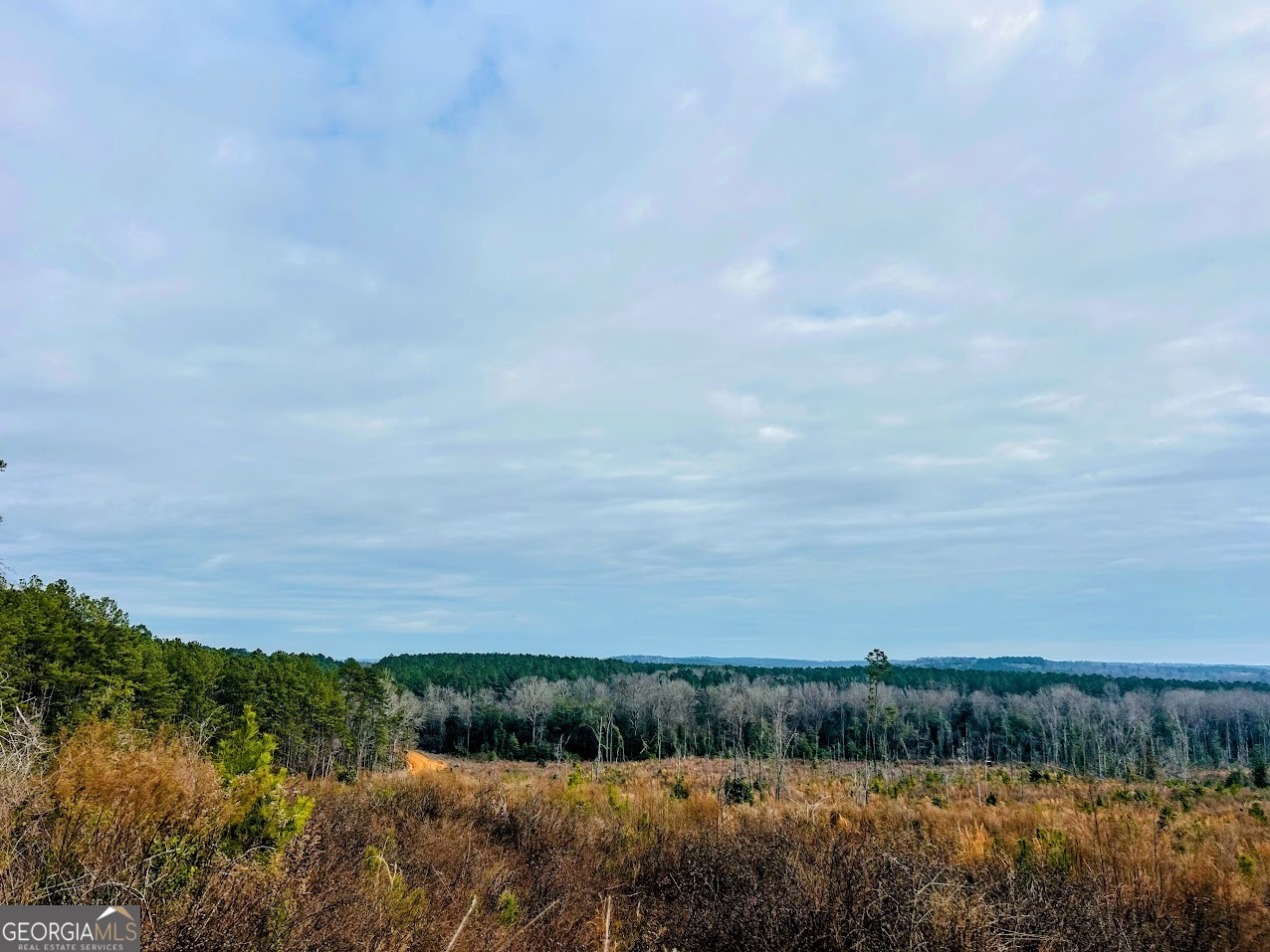 0 County Road 309, Unit TRACT A Skipperville, AL 36374 - Photo 14 of 24