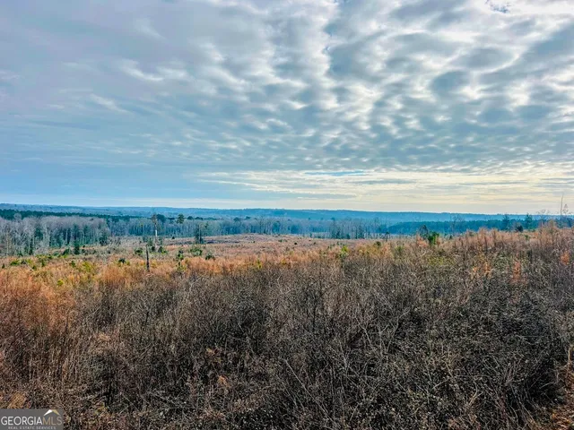 $684,000 | 0 County Road 309, Unit TRACT A, Skipperville, AL 36374