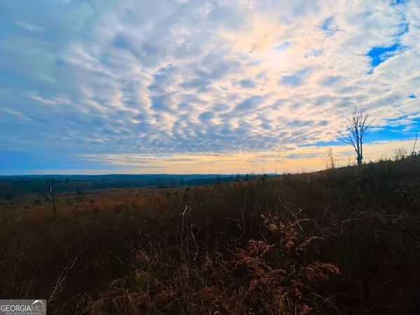 $664,000 | 0 County Road 309, Unit TRACT A, Skipperville, AL 36374