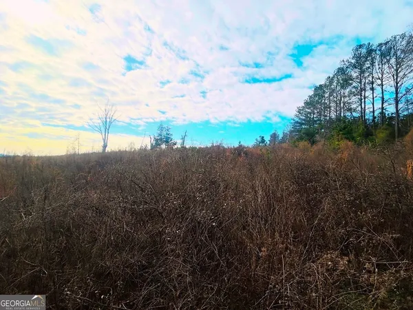 $664,000 | 0 County Road 309, Unit TRACT A, Skipperville, AL 36374