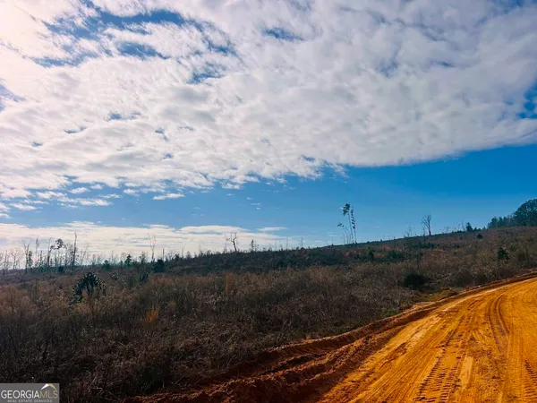 $664,000 | 0 County Road 309, Unit TRACT A, Skipperville, AL 36374