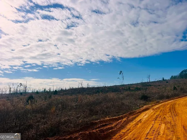 $684,000 | 0 County Road 309, Unit TRACT A, Skipperville, AL 36374