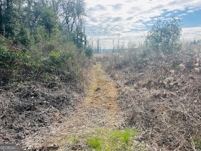 $684,000 | 0 County Road 309, Unit TRACT A, Skipperville, AL 36374