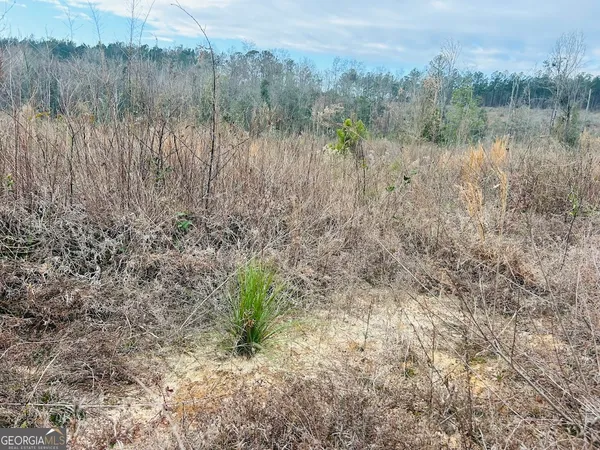 $664,000 | 0 County Road 309, Unit TRACT A, Skipperville, AL 36374