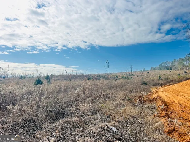 $684,000 | 0 County Road 309, Unit TRACT A, Skipperville, AL 36374