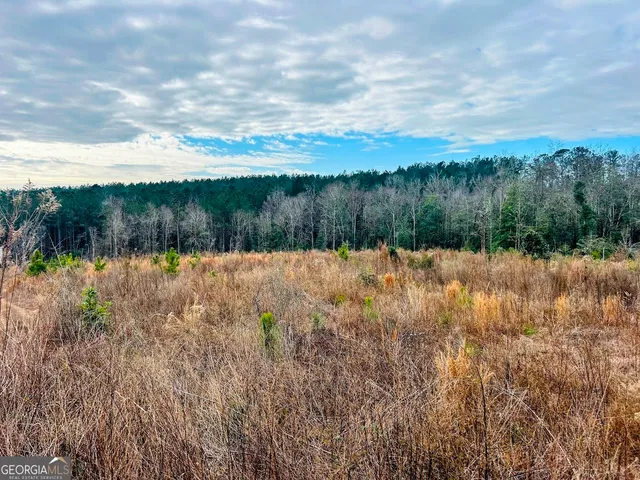 $684,000 | 0 County Road 309, Unit TRACT A, Skipperville, AL 36374
