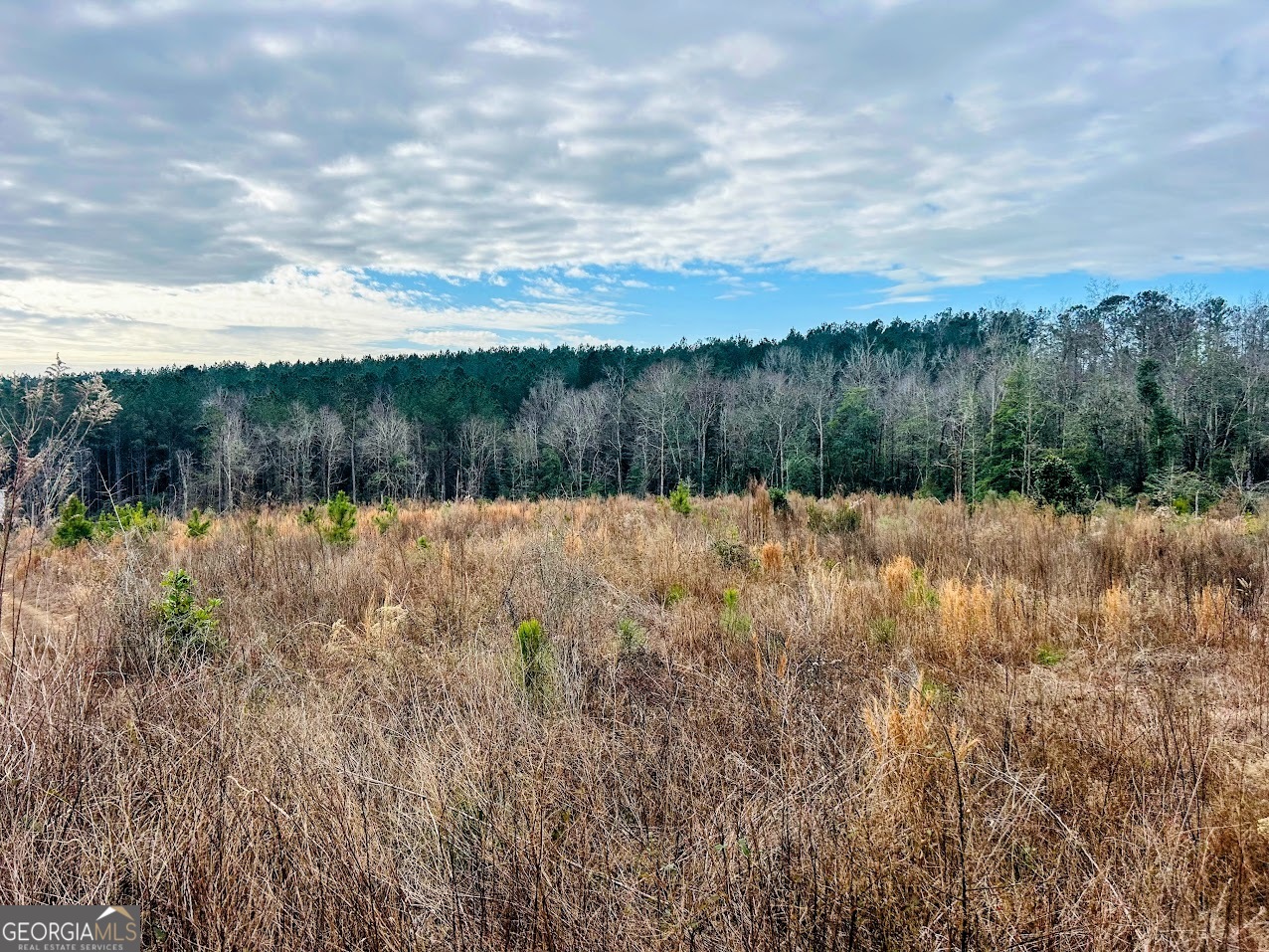 0 County Road 309, Unit TRACT A Skipperville, AL 36374 - Photo 3 of 24