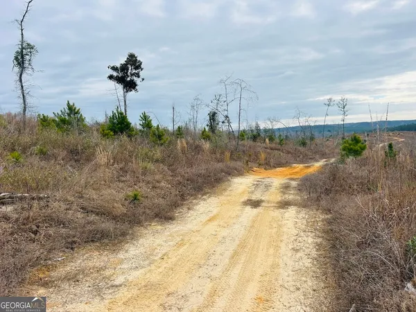 $664,000 | 0 County Road 309, Unit TRACT A, Skipperville, AL 36374