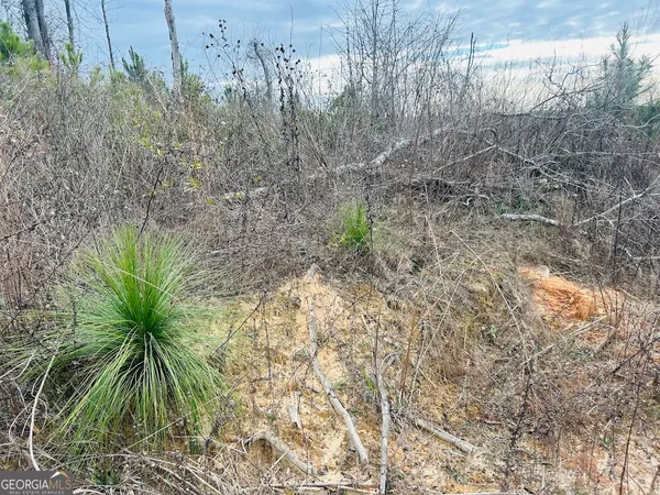 $664,000 | 0 County Road 309, Unit TRACT A, Skipperville, AL 36374