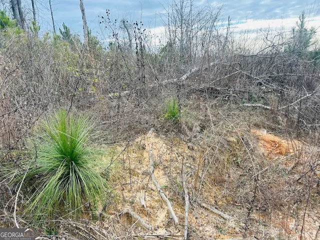 $684,000 | 0 County Road 309, Unit TRACT A, Skipperville, AL 36374