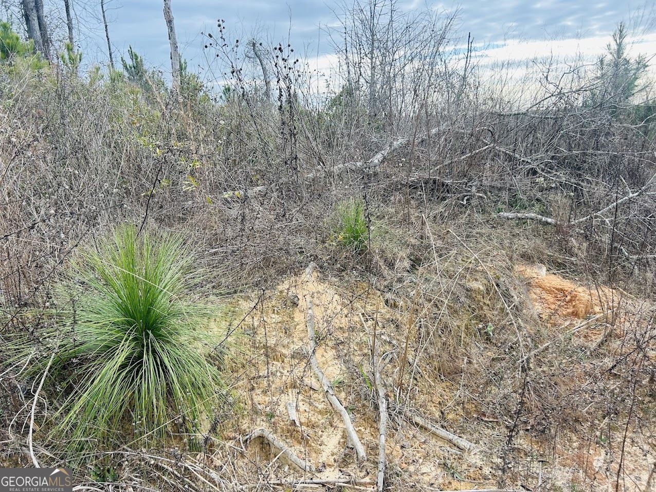 0 County Road 309, Unit TRACT A Skipperville, AL 36374 - Photo 5 of 24