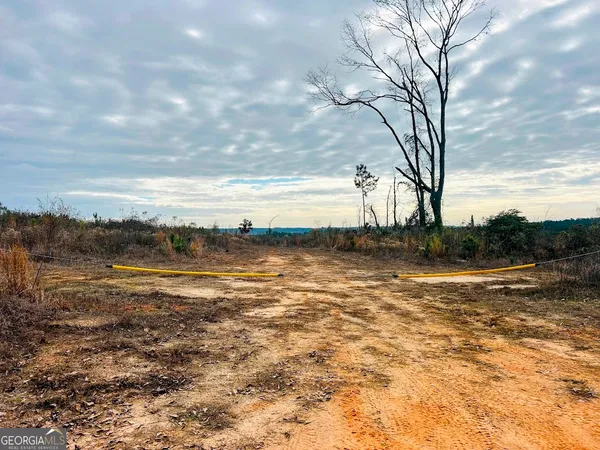 $664,000 | 0 County Road 309, Unit TRACT A, Skipperville, AL 36374