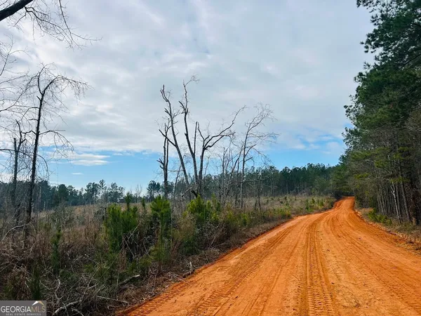 $664,000 | 0 County Road 309, Unit TRACT A, Skipperville, AL 36374