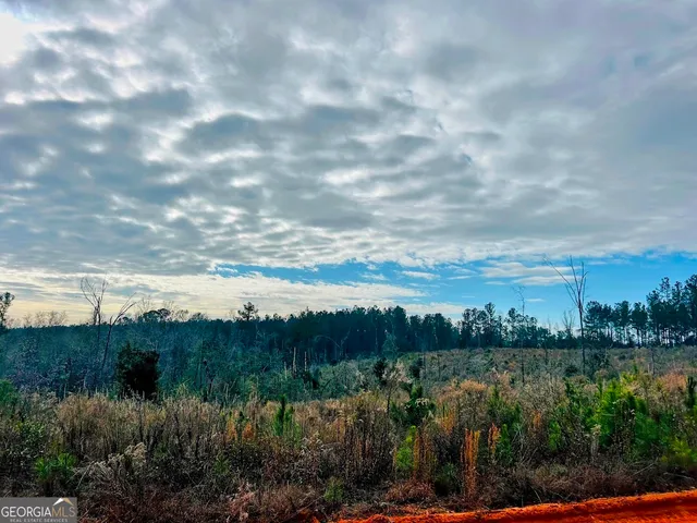 $684,000 | 0 County Road 309, Unit TRACT A, Skipperville, AL 36374