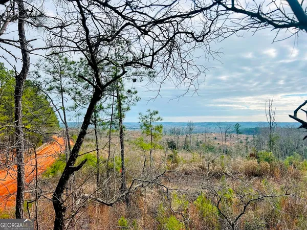 $664,000 | 0 County Road 309, Unit TRACT A, Skipperville, AL 36374