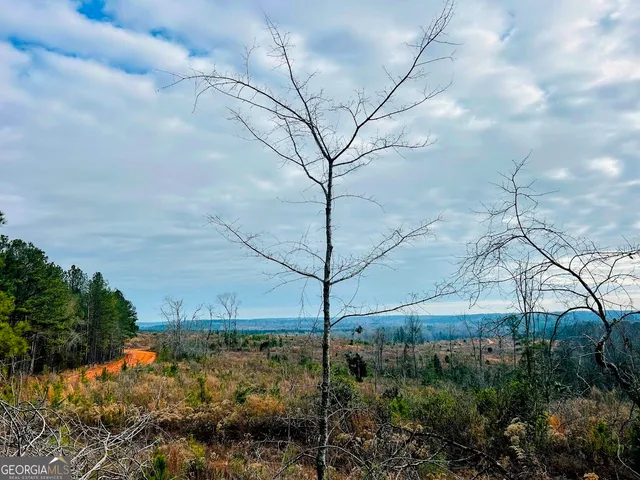 $684,000 | 0 County Road 309, Unit TRACT A, Skipperville, AL 36374