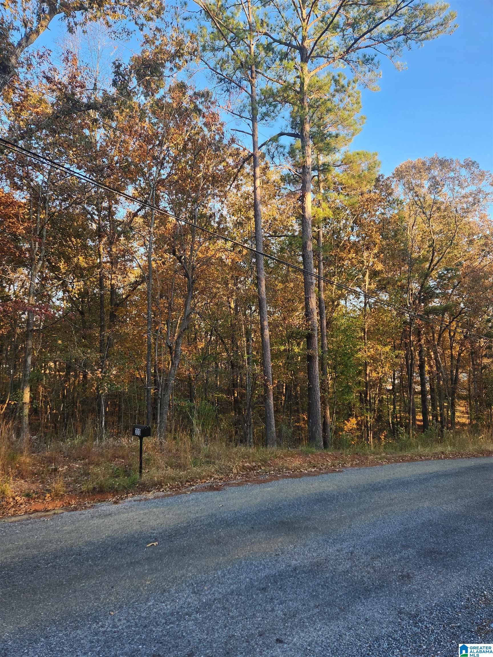 911 Oak Road, Unit D/17 Sylacauga, AL 35151 - Photo 2 of 2