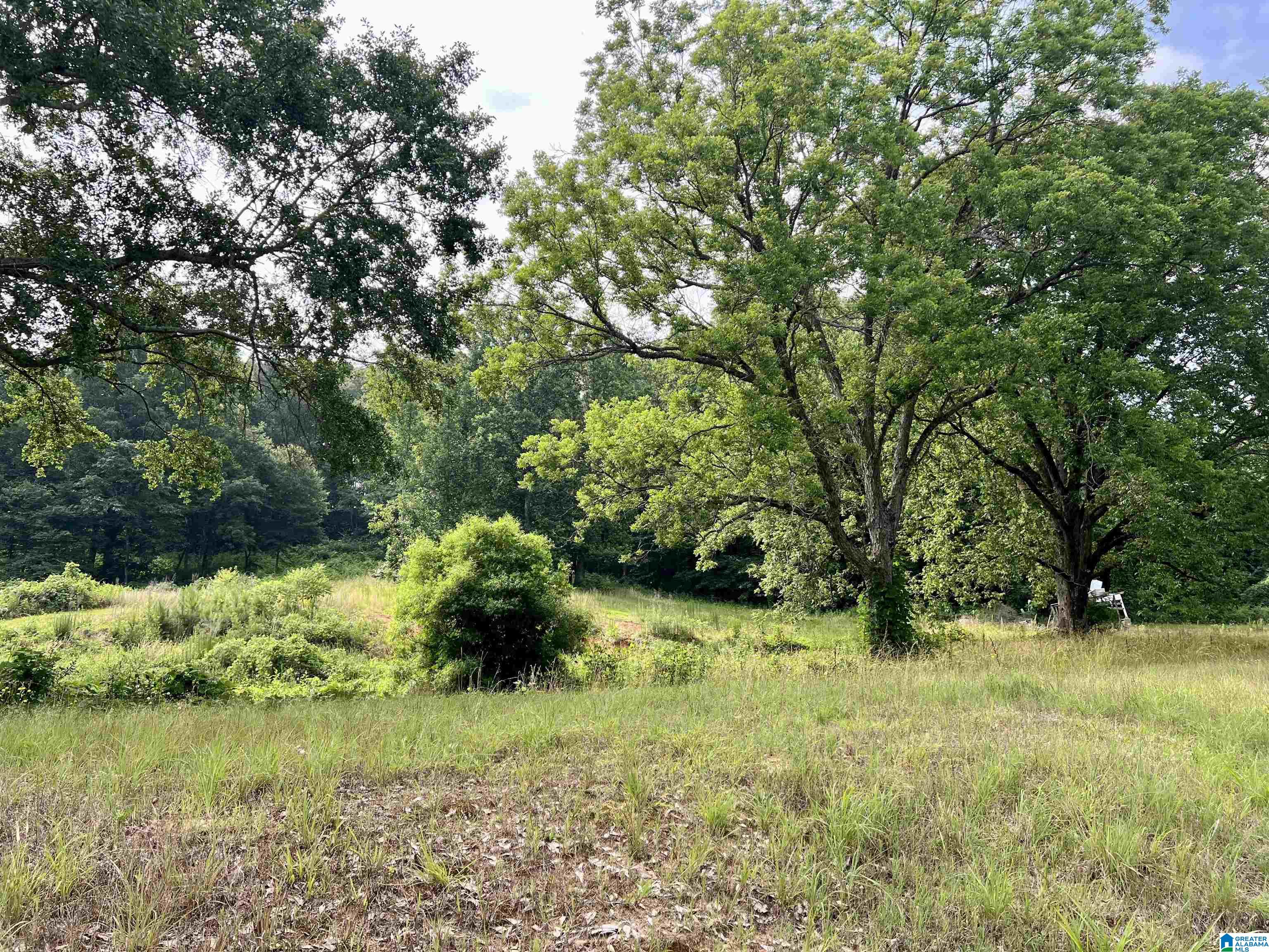 0 Fowler Springs Road, Unit 21 Blountsville, AL 35031 - Photo 17 of 24
