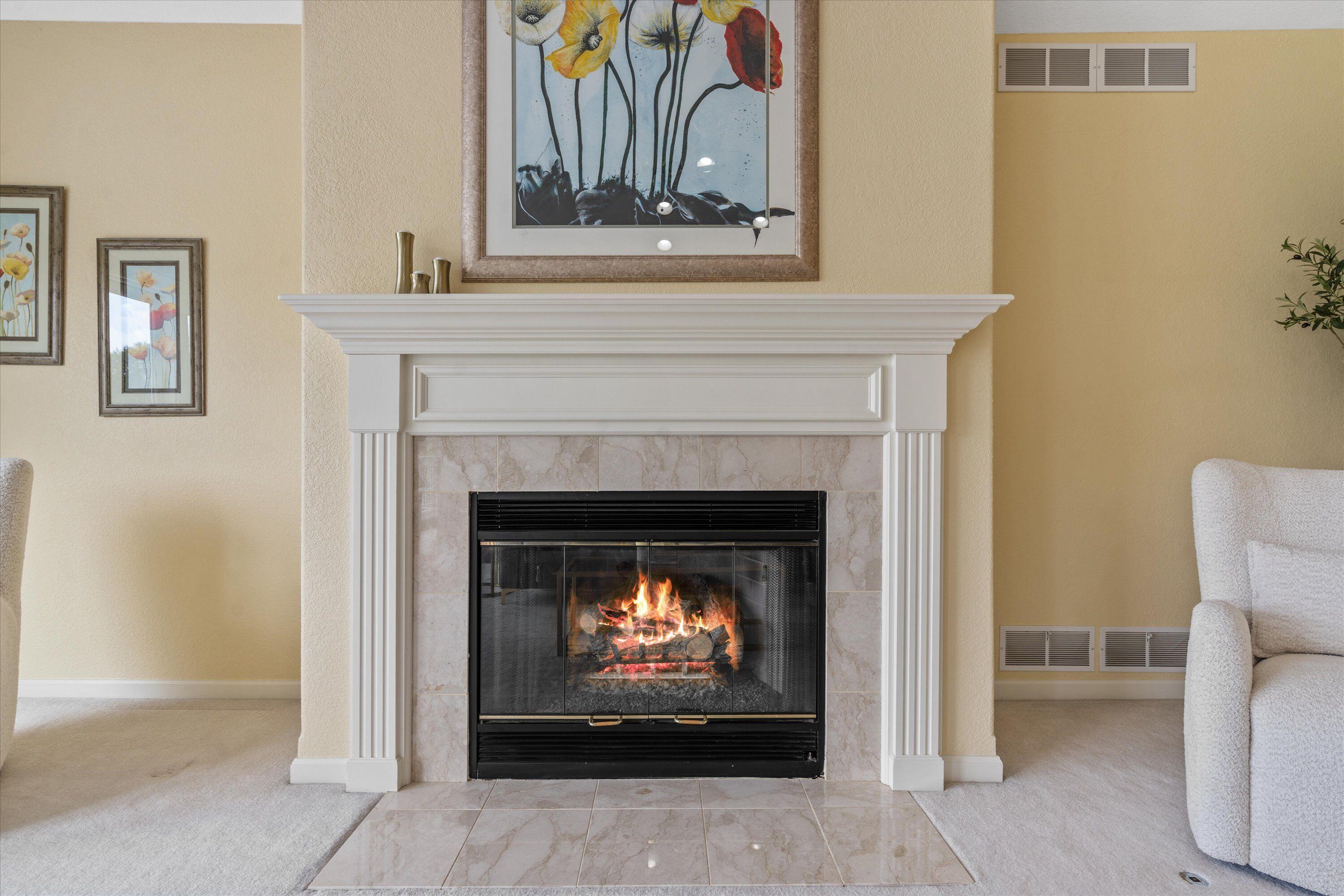 219 Muirfield Court North Prairie, WI 53153 - Photo 8 of 45 Great Room Fireplace