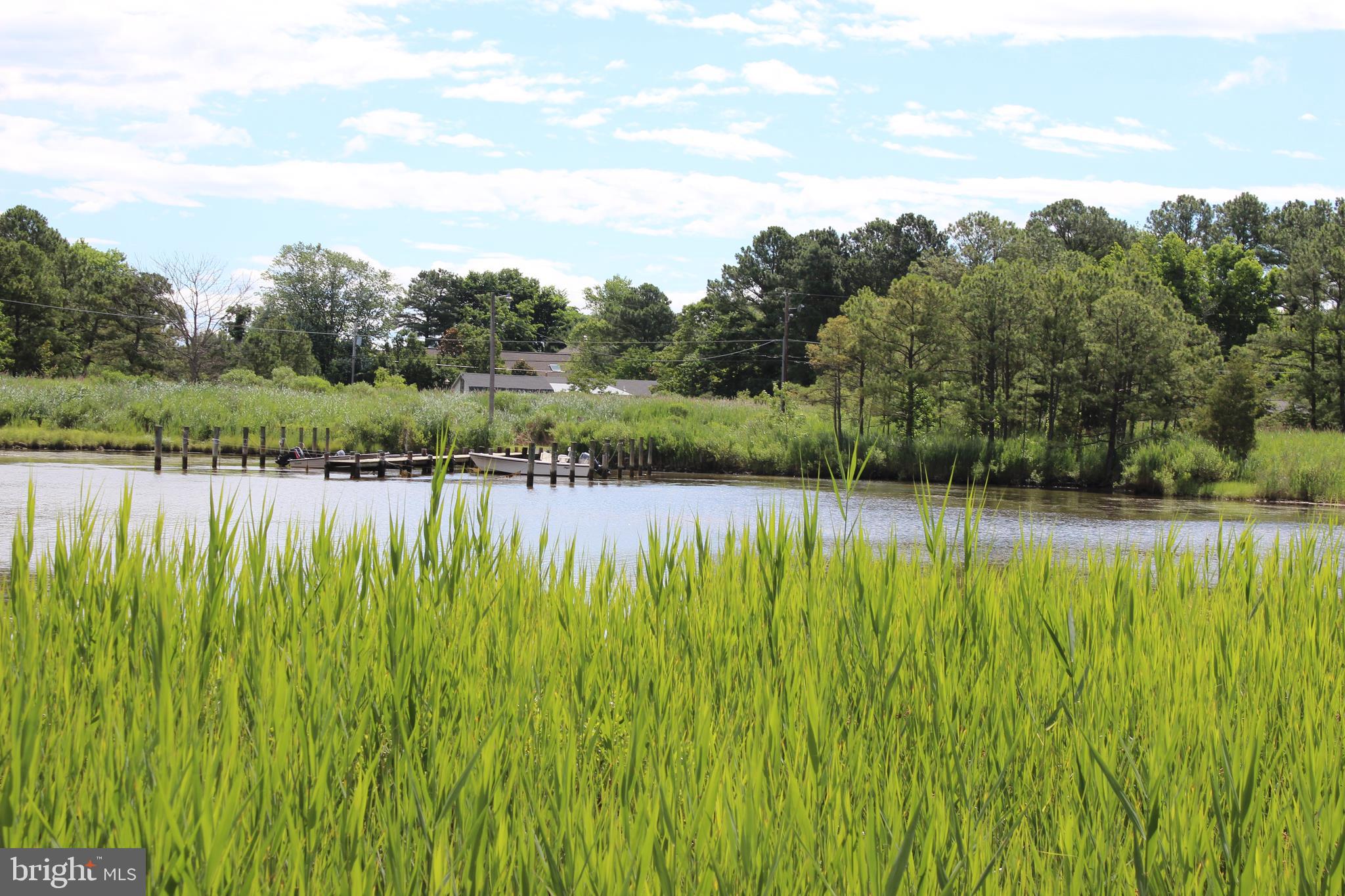 545 Talbot Road Stevensville, MD 21666 - Photo 5 of 7 View looking across South Prong Shipping Creek