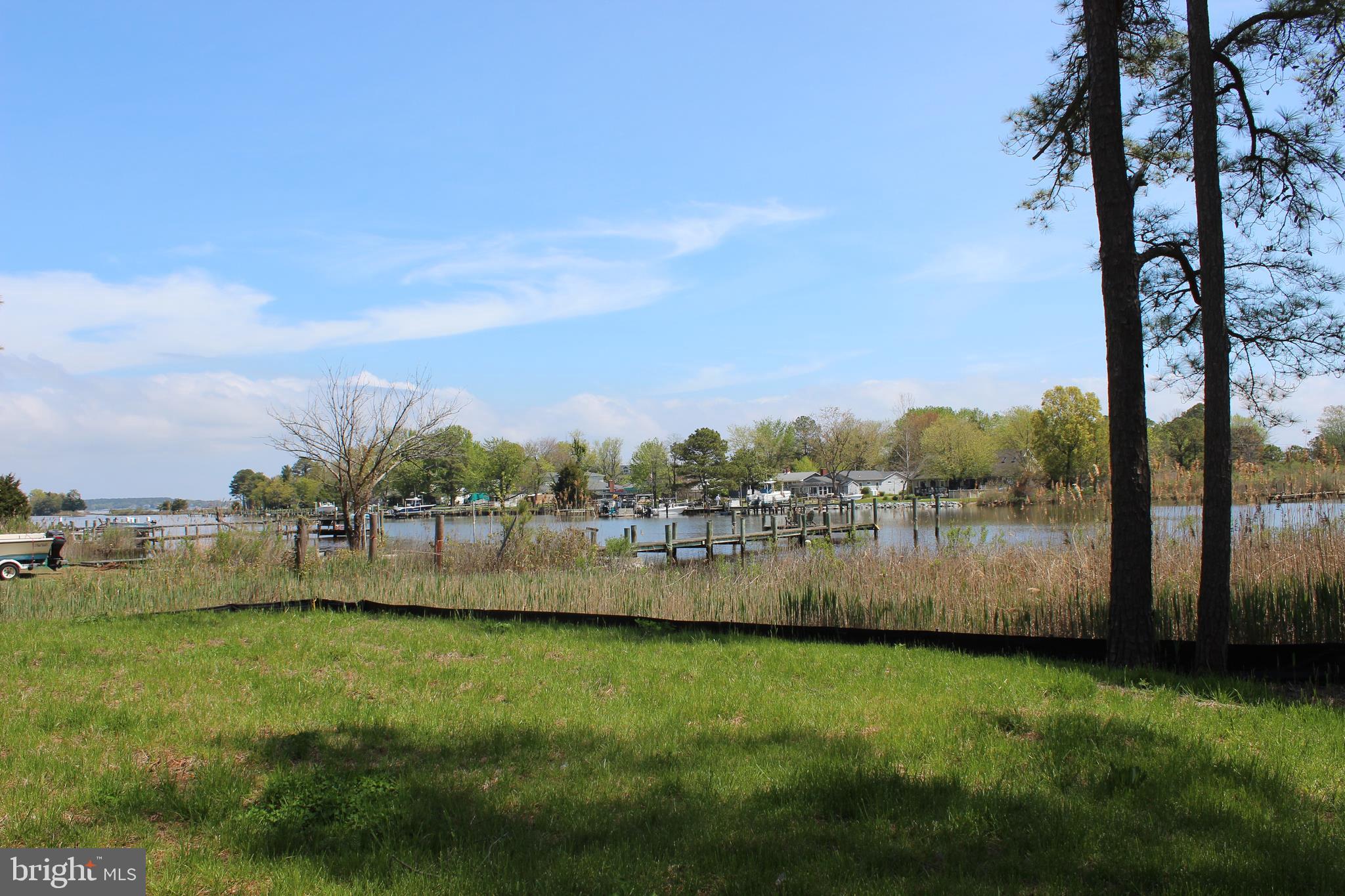 545 Talbot Road Stevensville, MD 21666 - Photo 7 of 7 Lovely lawn
